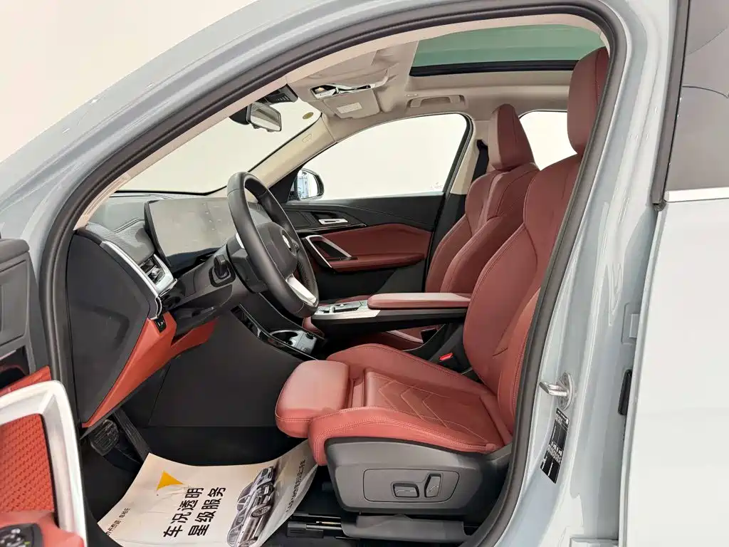 BMW X2 (Import) — миниатюра 17