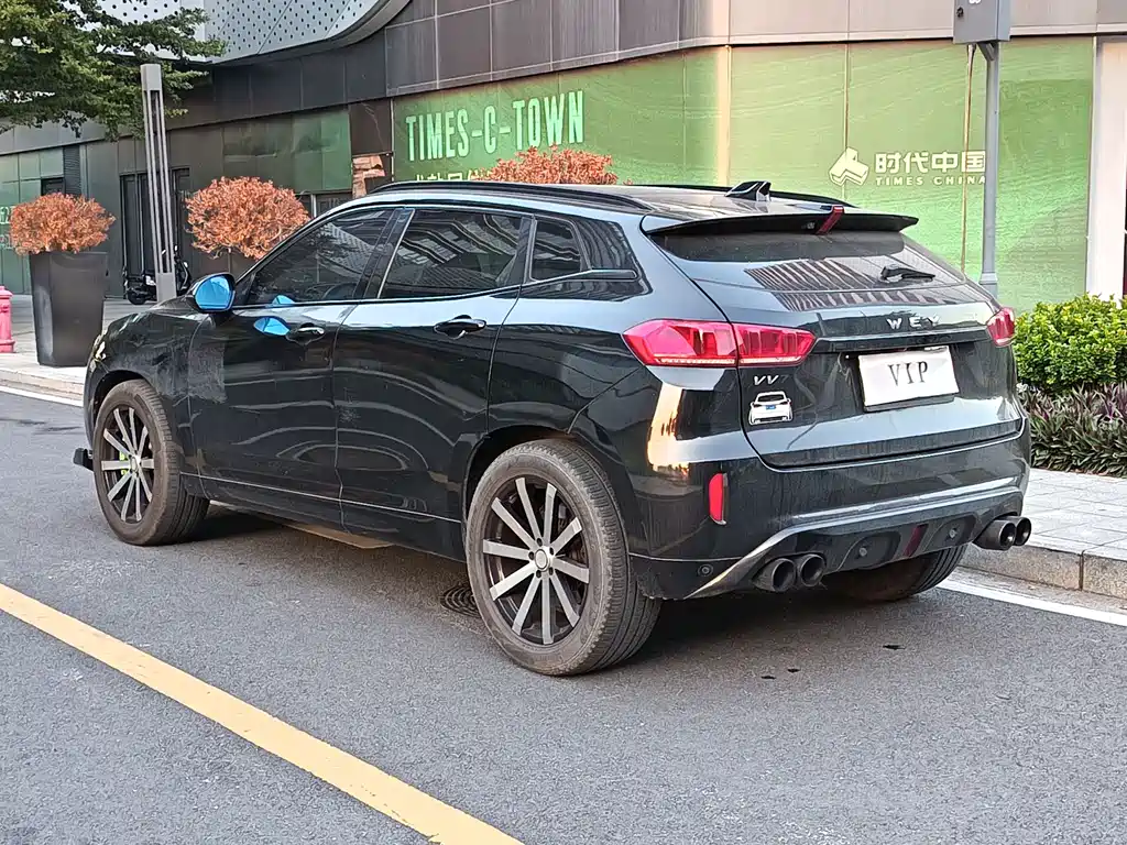 WEI PAI WEI BRAND VV7