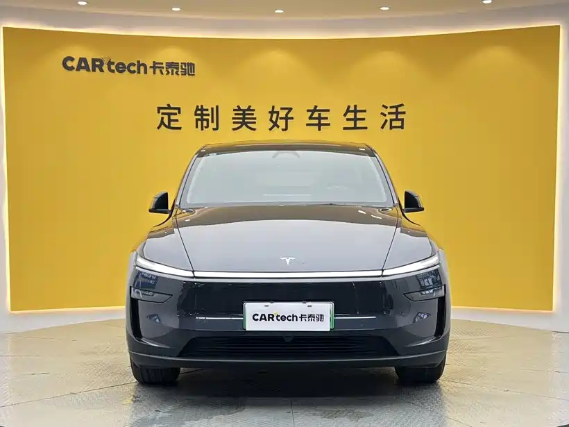 Tesla Model Y — миниатюра 3