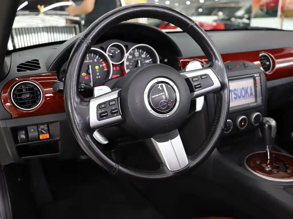 Mitsuoka Queen — миниатюра 8