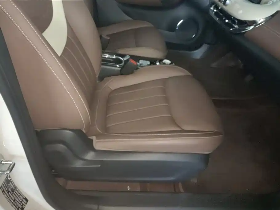 Wuling Binguo 2024 333km Enjoy