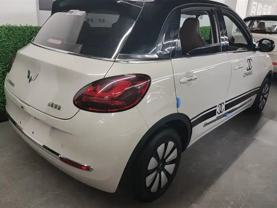 Wuling Binguo 2024 333km Enjoy