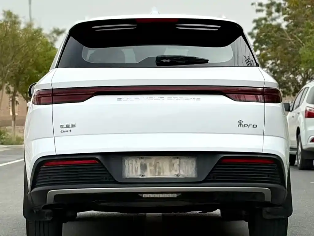 BYD Pro New Energy — миниатюра 8