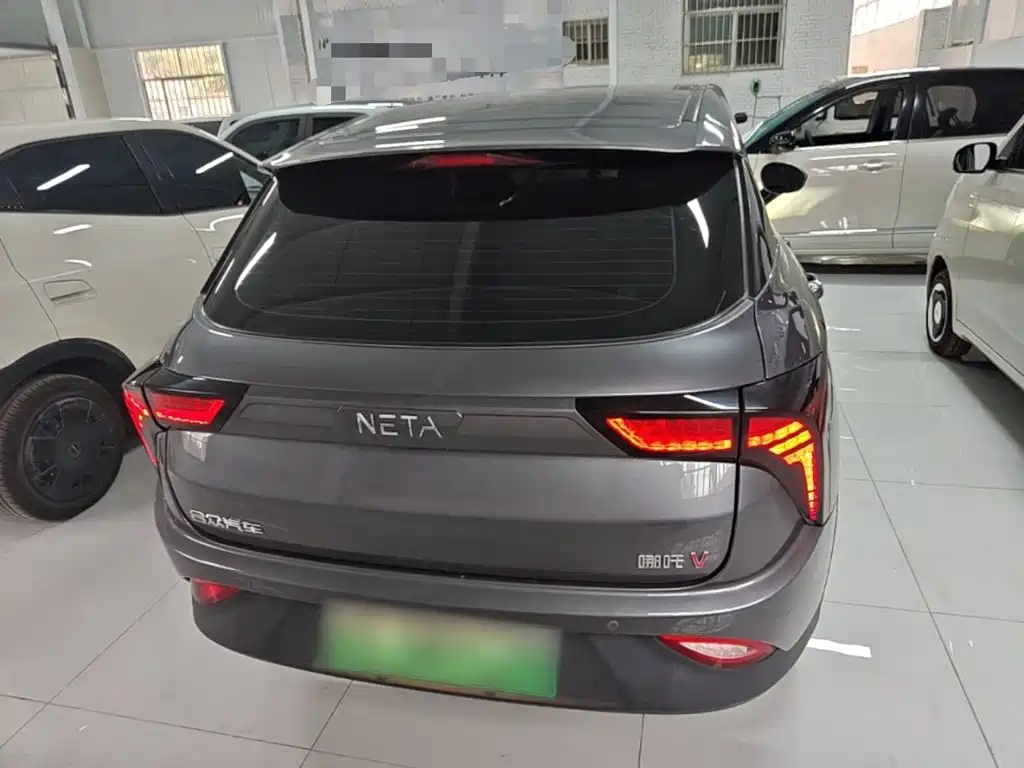 Neta Neta V — миниатюра 6