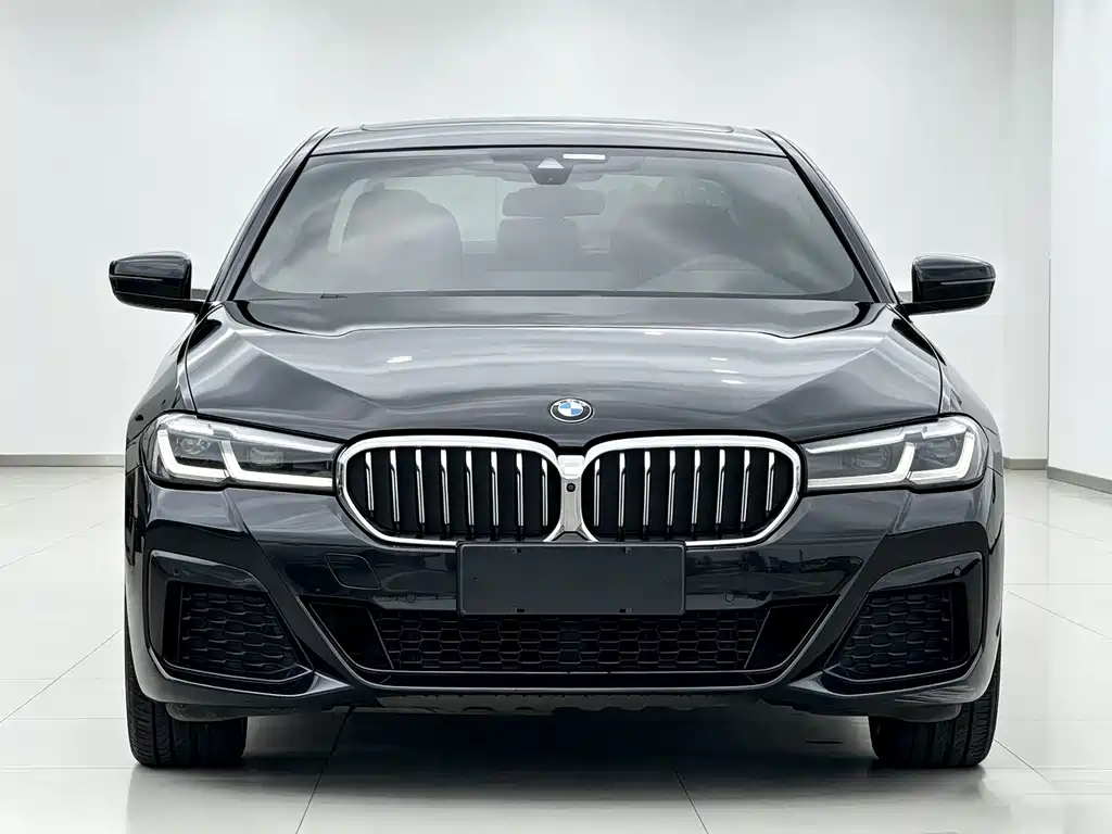 BMW 5 Series — миниатюра 2