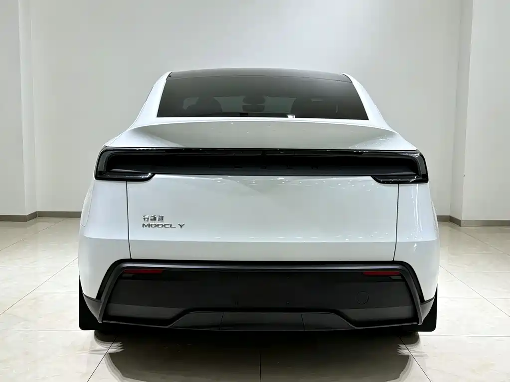 Tesla Model Y — миниатюра 19