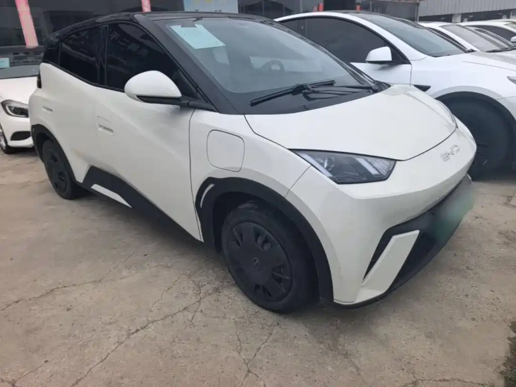 BYD Seagull