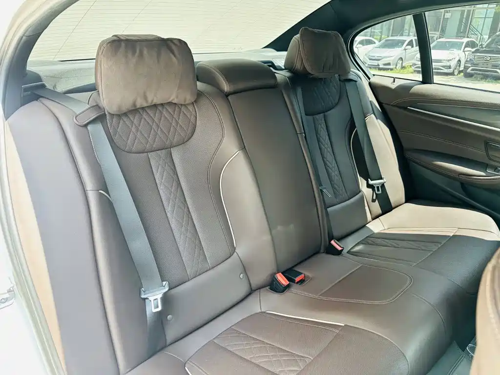 BMW 5 Series 5 2022 530Li xDrive M Sport