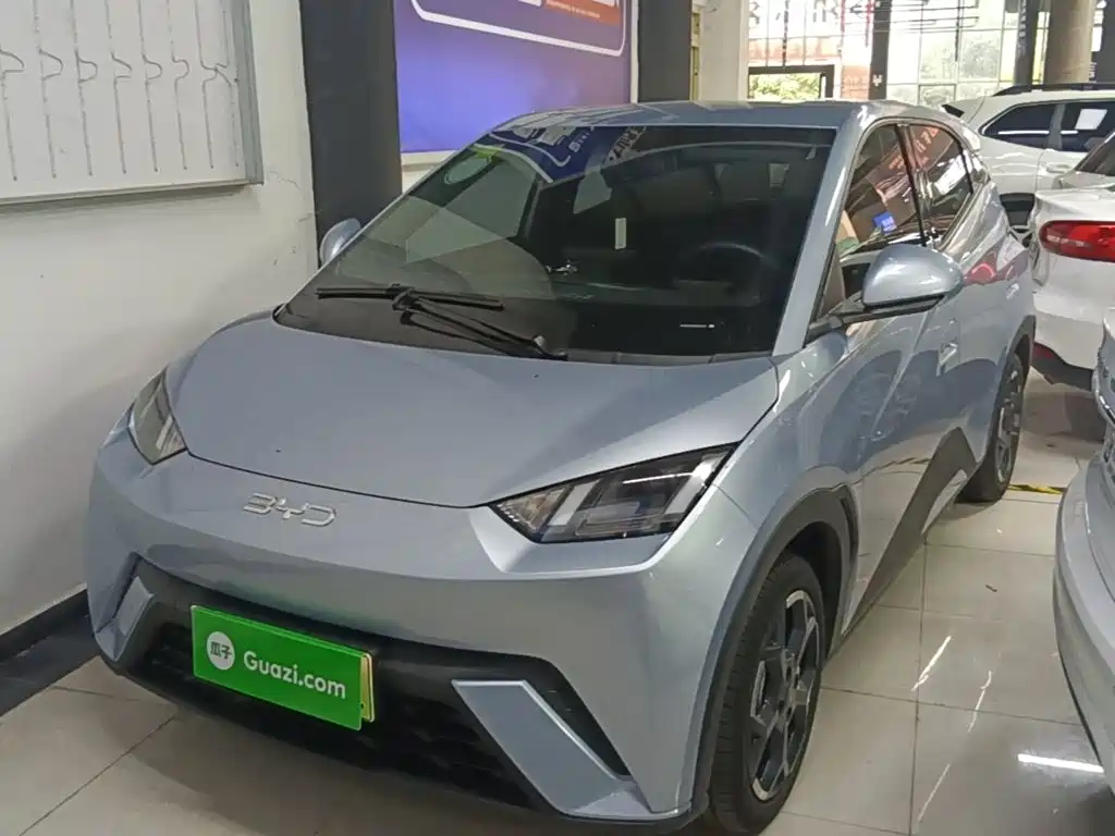 BYD Seagull 2025 305km Freedom