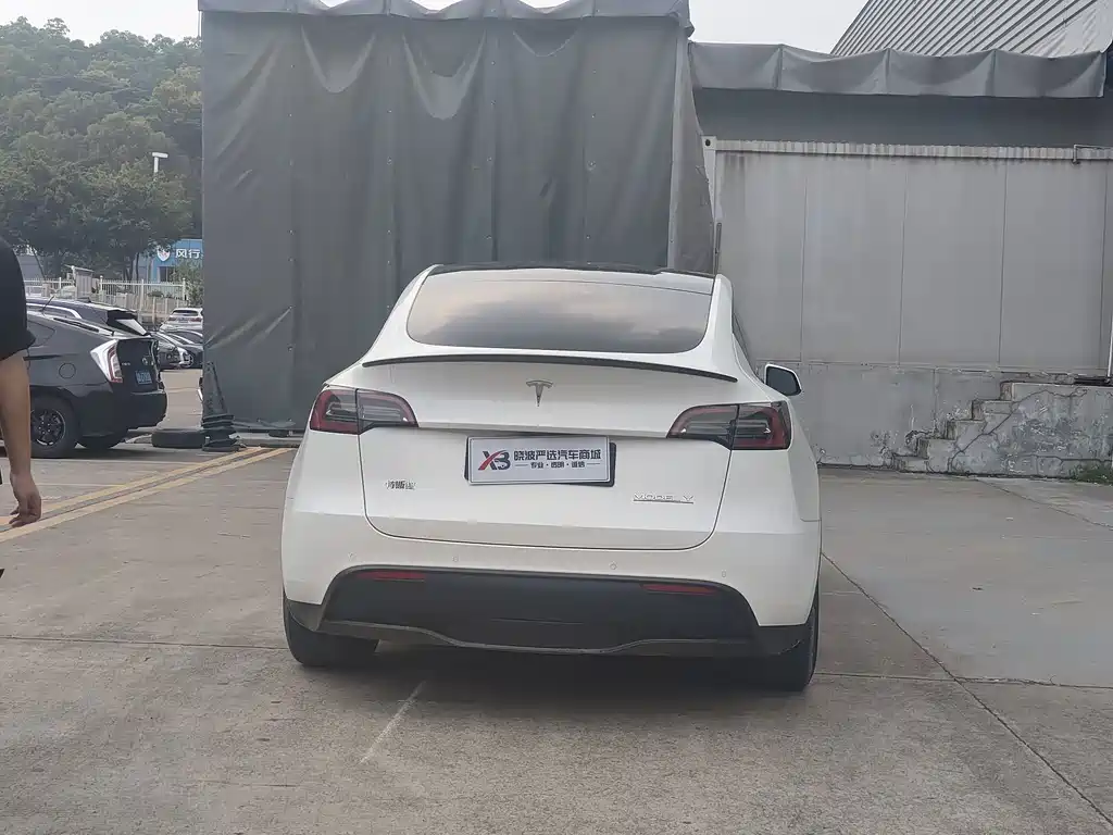 Tesla Model Y — миниатюра 6