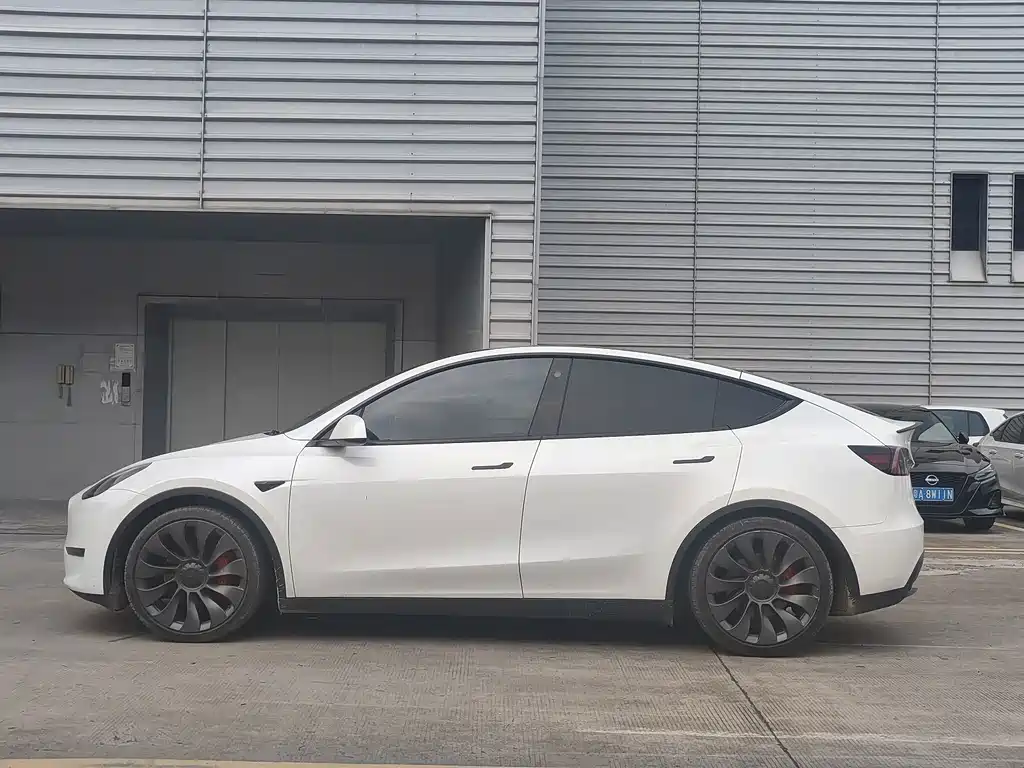 Tesla Model Y — миниатюра 4