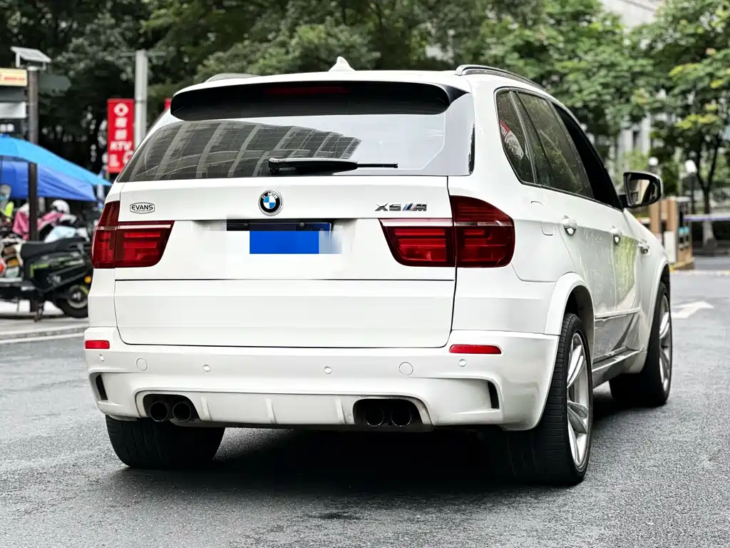 BMW X5 M 2010 X5 M