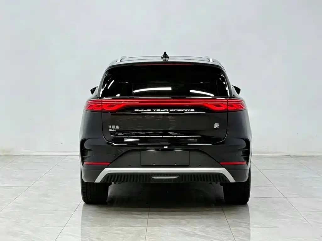 BYD Tang New Energy — миниатюра 6
