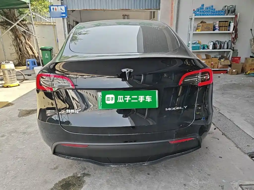 Tesla Model Y — миниатюра 6