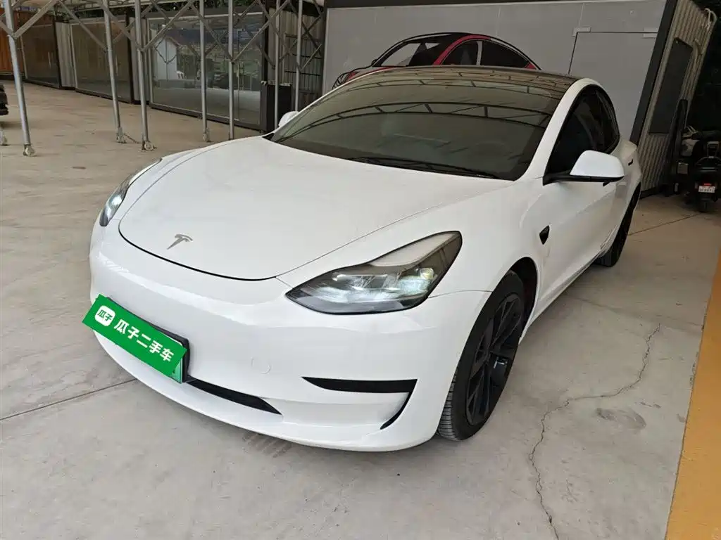 Tesla Model 3 2021