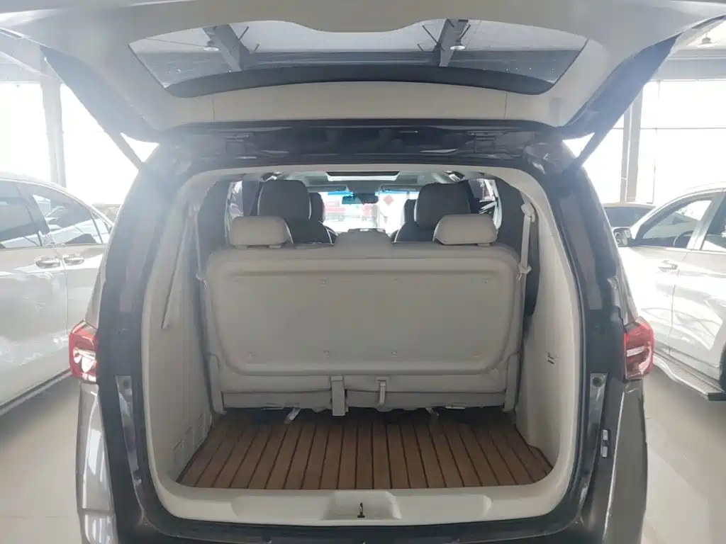 Buick GL8 — миниатюра 19