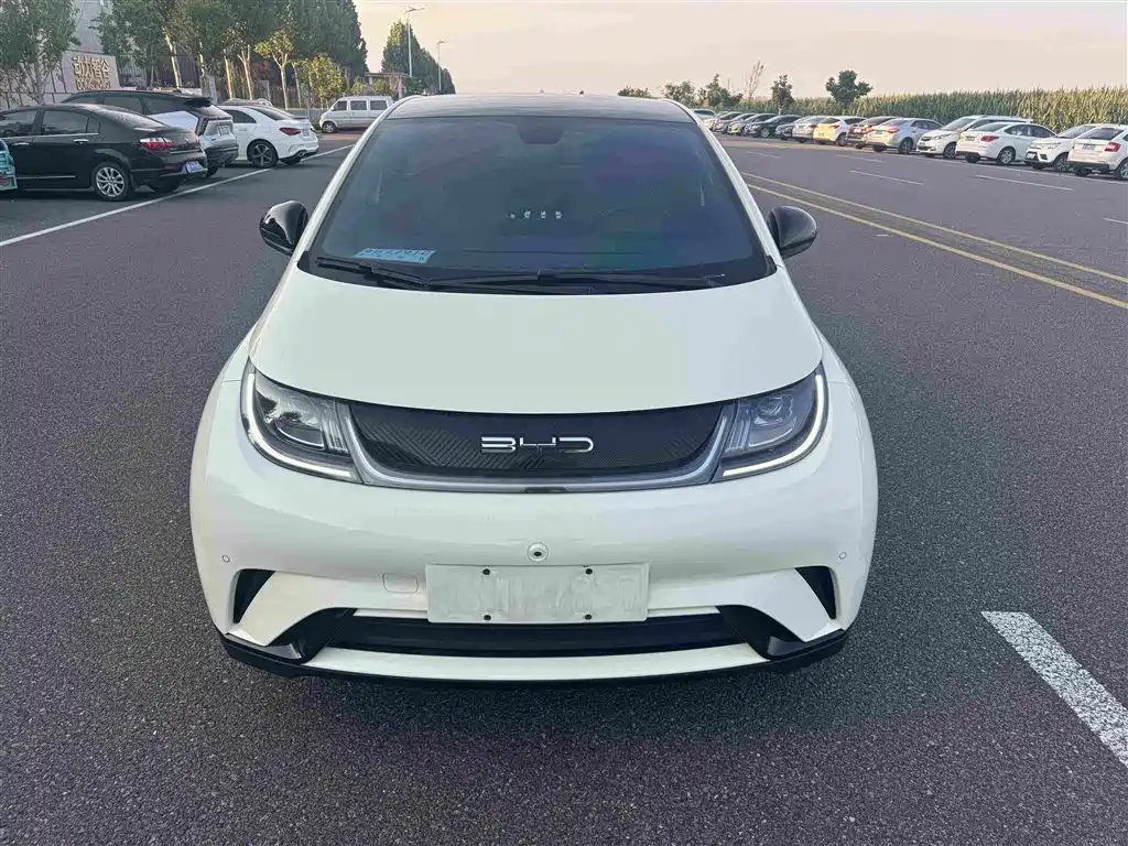BYD Dolphin — миниатюра 17