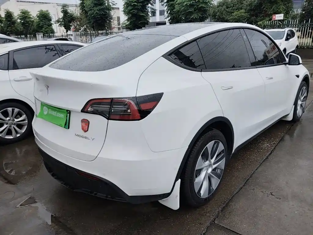 Tesla Model Y — миниатюра 7