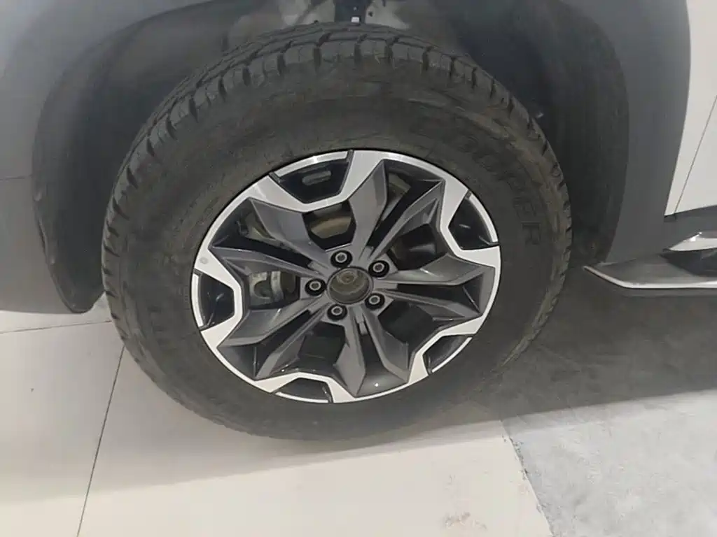 Haval Big Dog — миниатюра 23