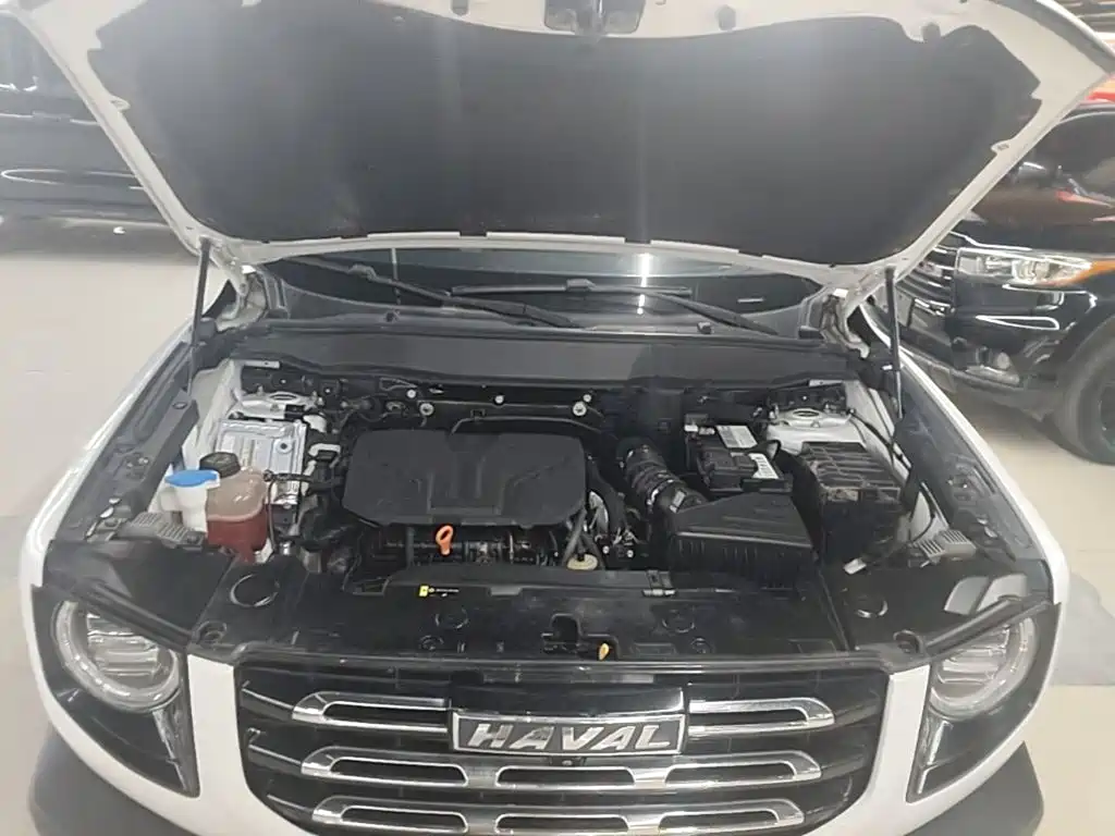 Haval Big Dog — миниатюра 20
