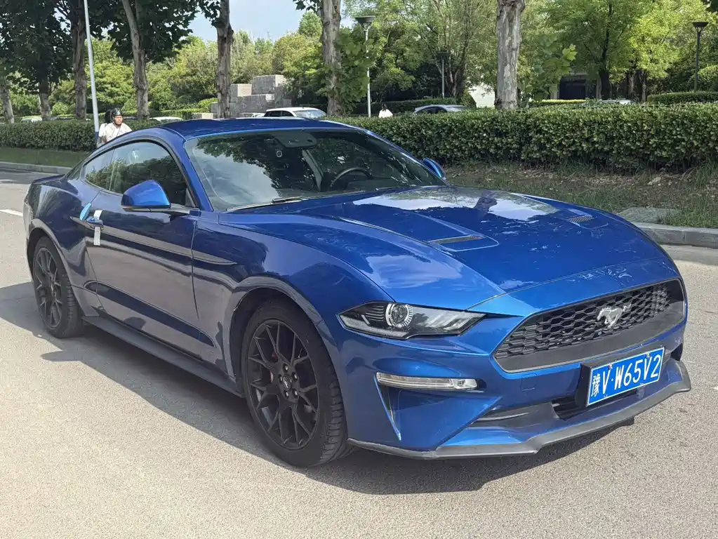 Ford Mustang — миниатюра 3