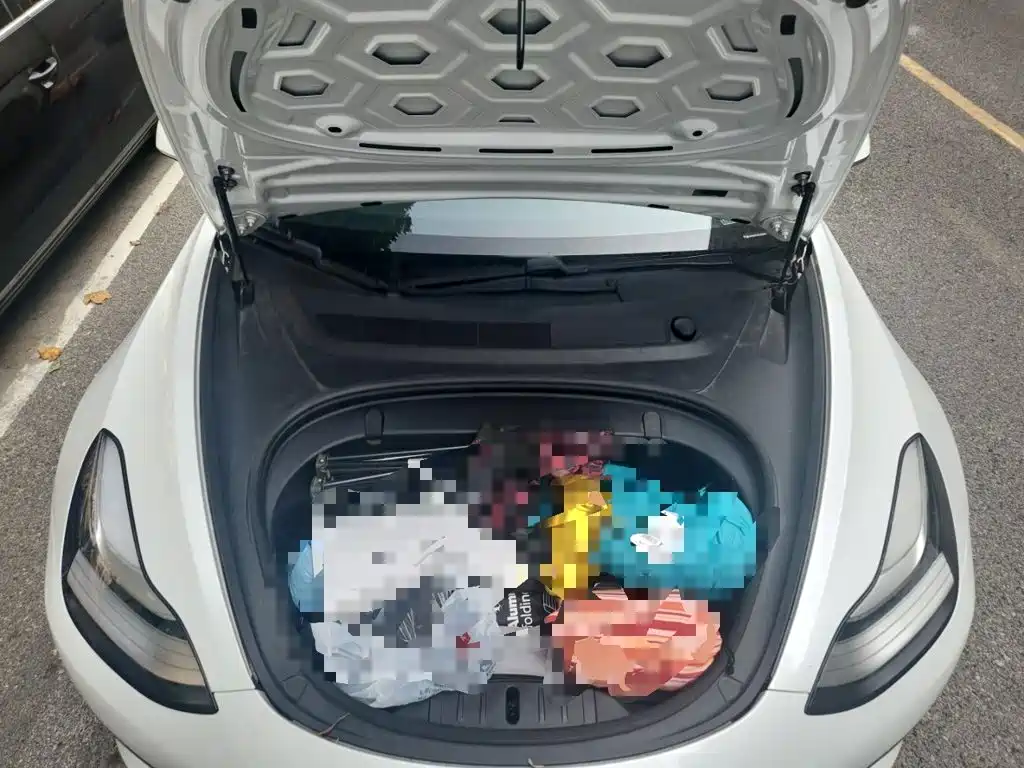 Tesla Model 3 — миниатюра 21