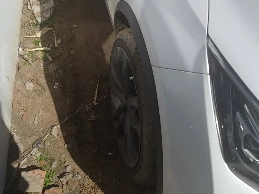 BYD Tang New Energy — миниатюра 6