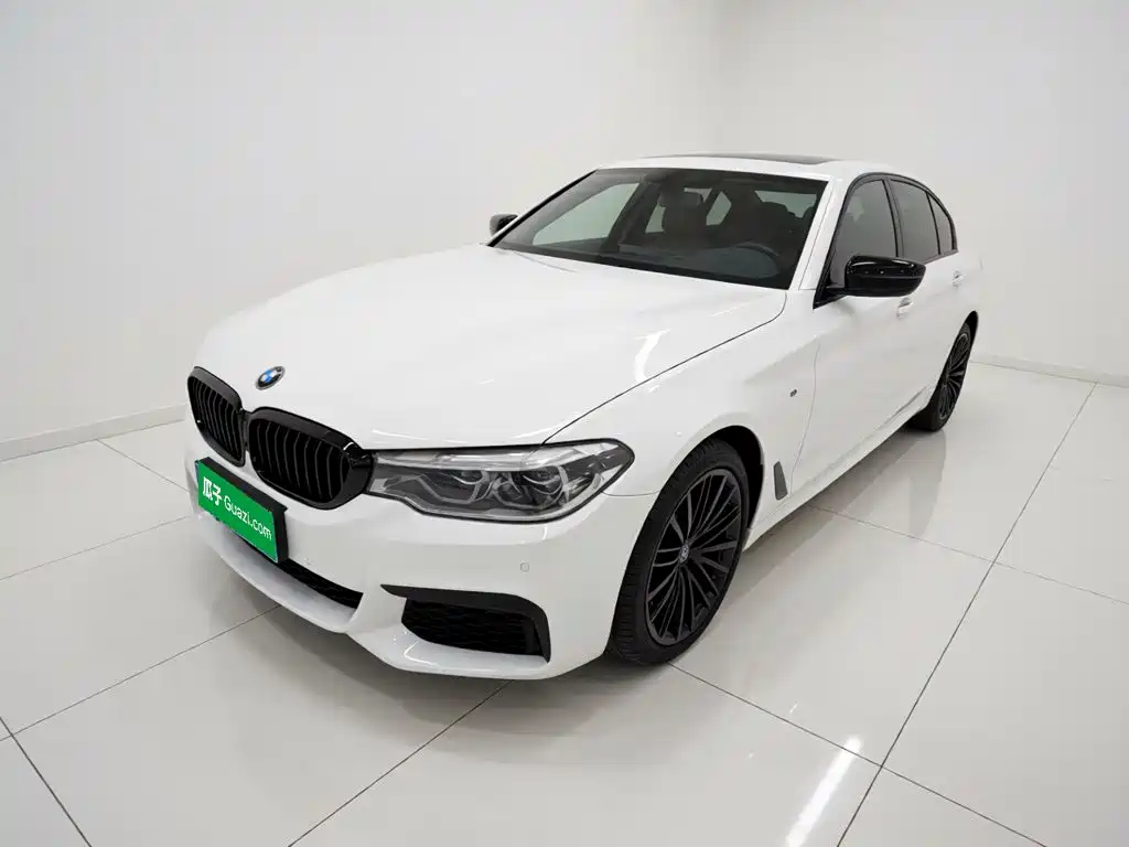 BMW 5 Series 5 2019 530Li Lead M Sport