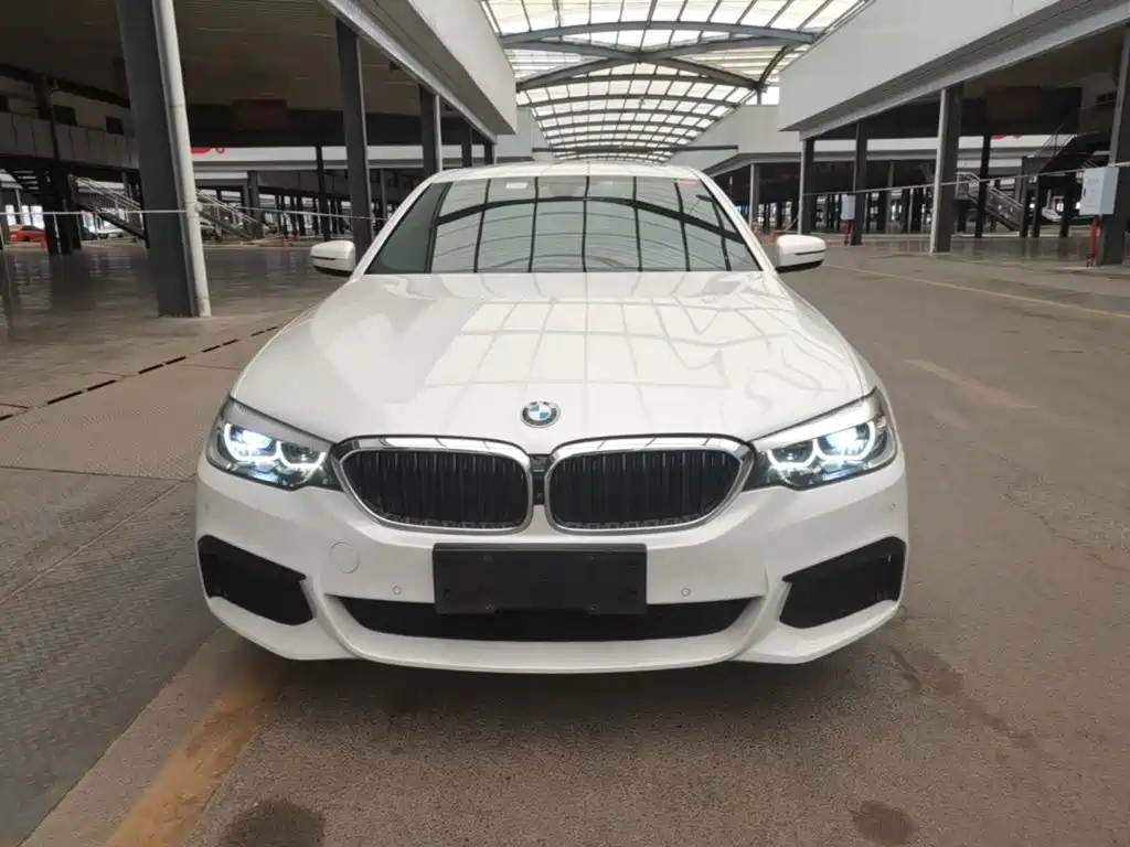BMW 5 Series — миниатюра 3