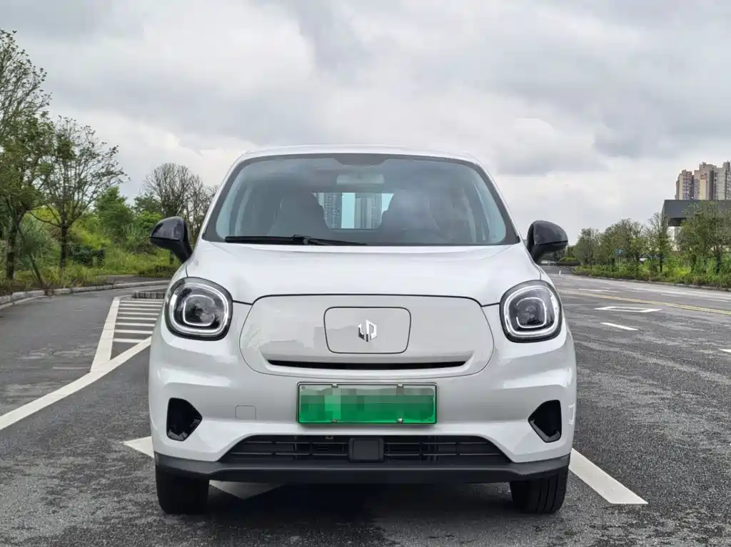 Leapmotor T03 2024 310