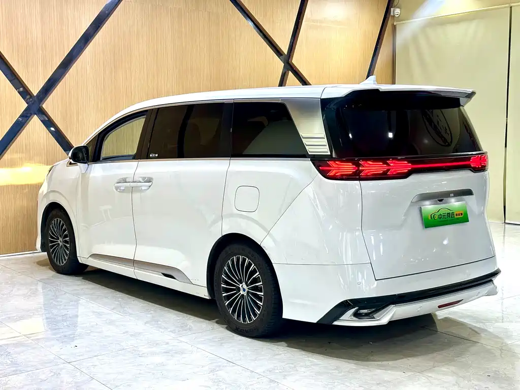 Denza Denza D9 — миниатюра 24