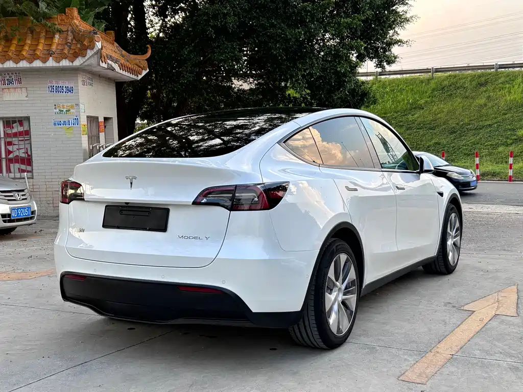 Tesla Model Y — миниатюра 11