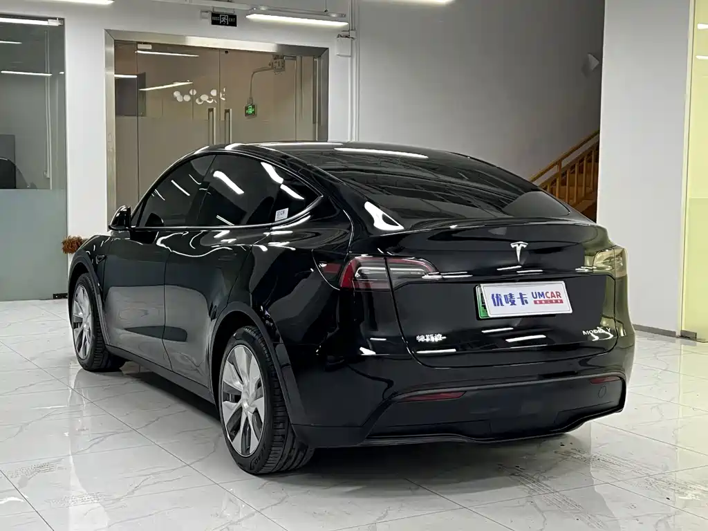 Tesla Model Y — миниатюра 4