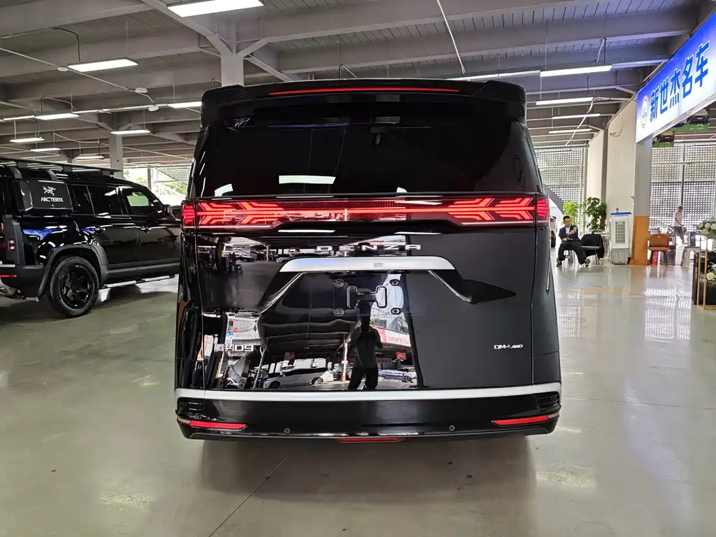 Denza Denza D9 — миниатюра 15