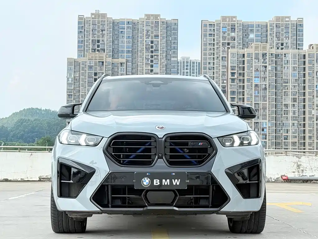 BMW X5 M — миниатюра 2