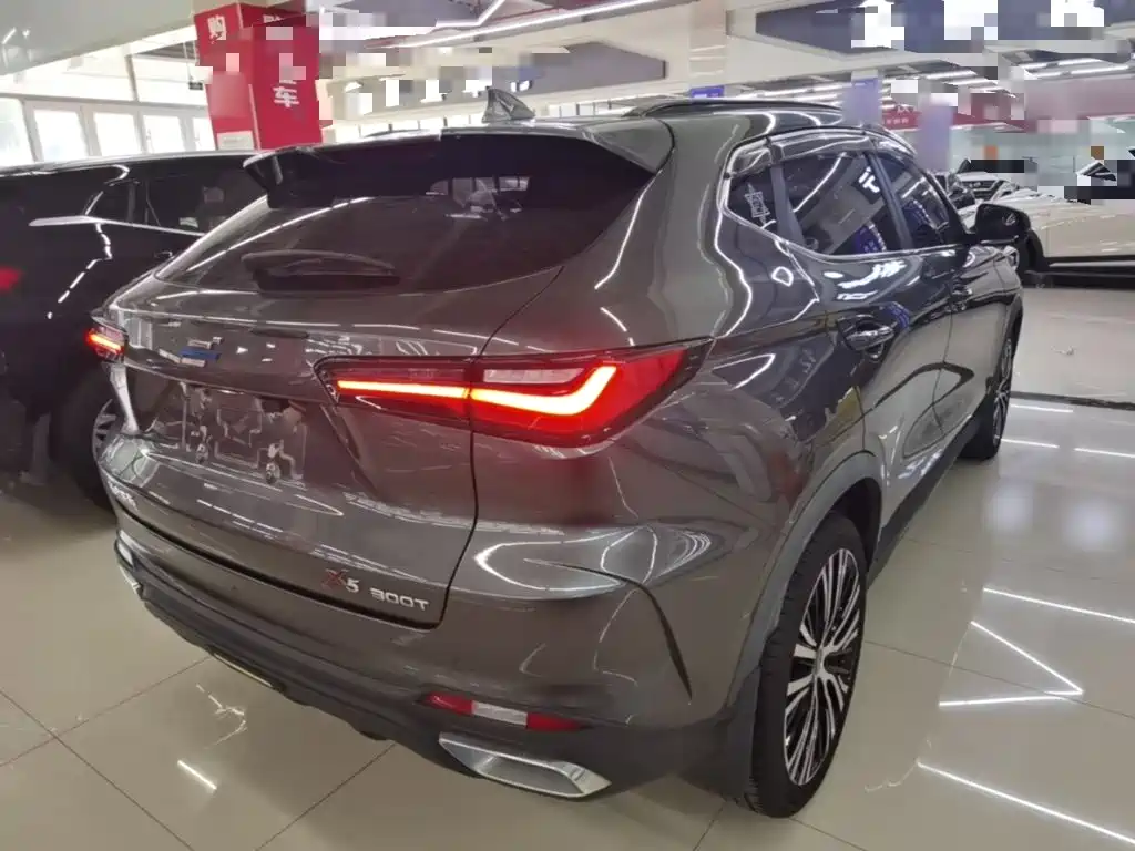 Oshan Oushang X5 — миниатюра 7
