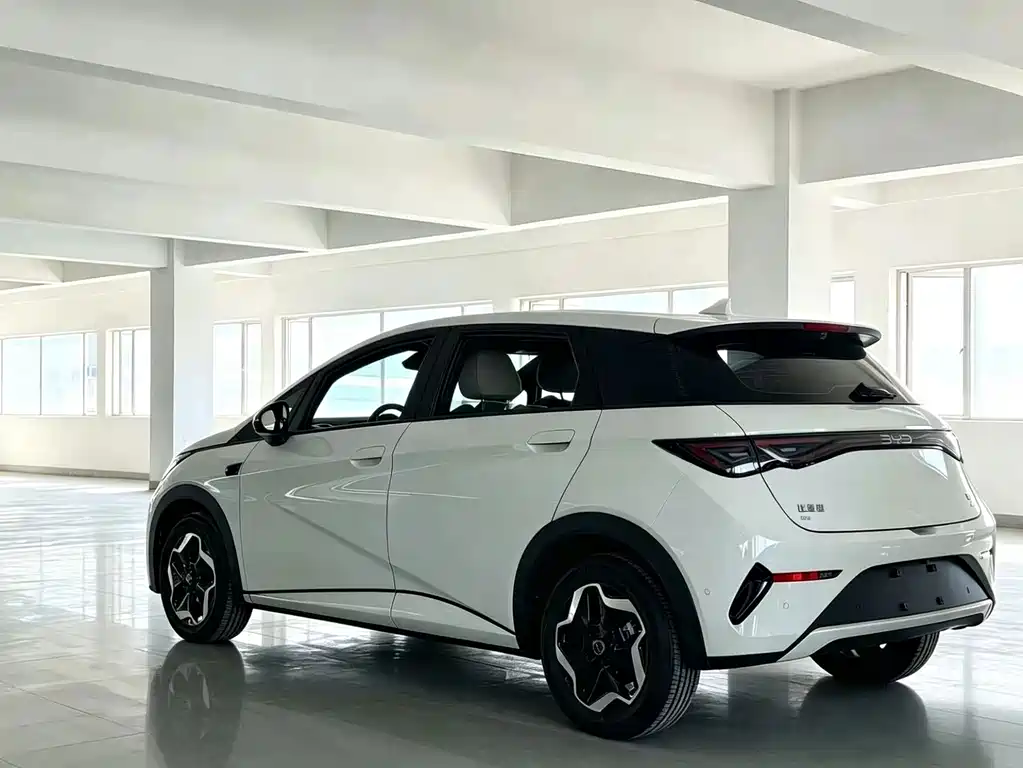 BYD Dolphin — миниатюра 4