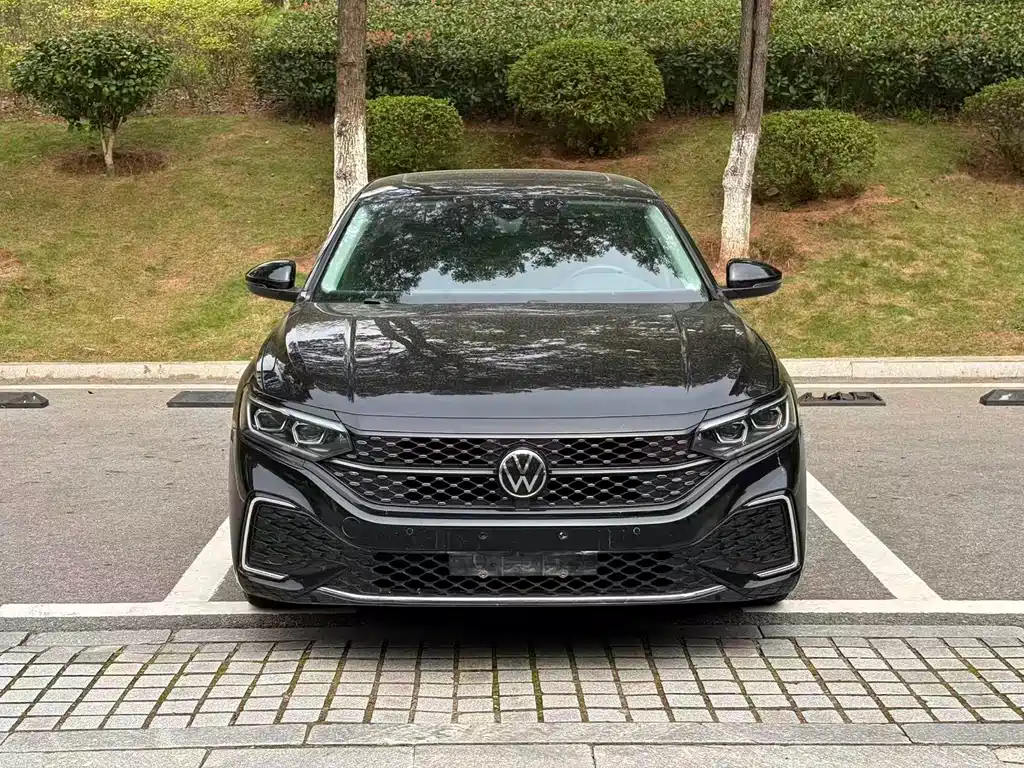 Volkswagen Passat — миниатюра 2