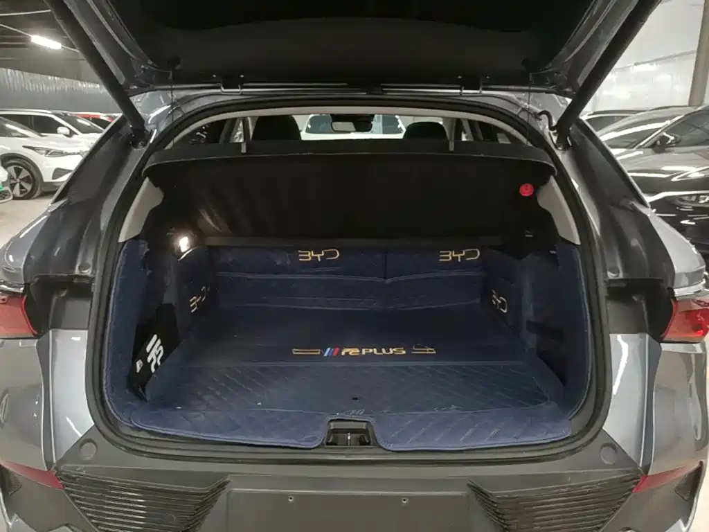 BYD Yuan Plus — миниатюра 19