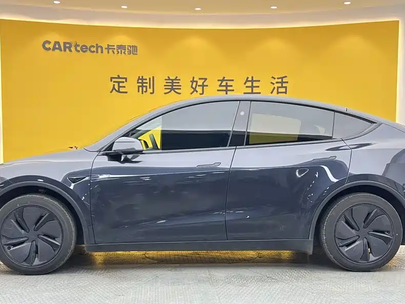 Tesla Model Y — миниатюра 7