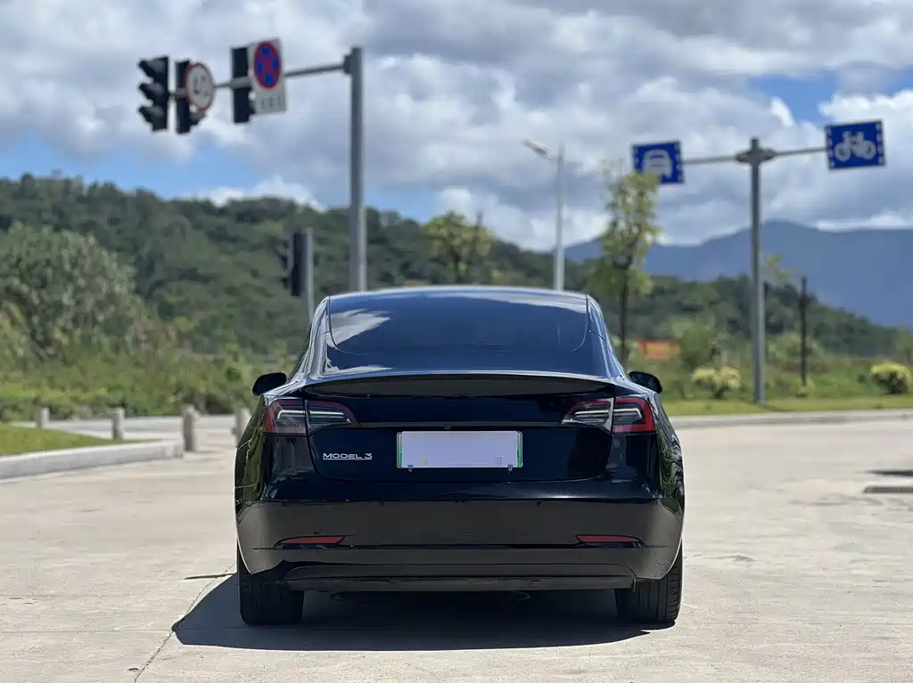 Tesla Model 3 — миниатюра 2