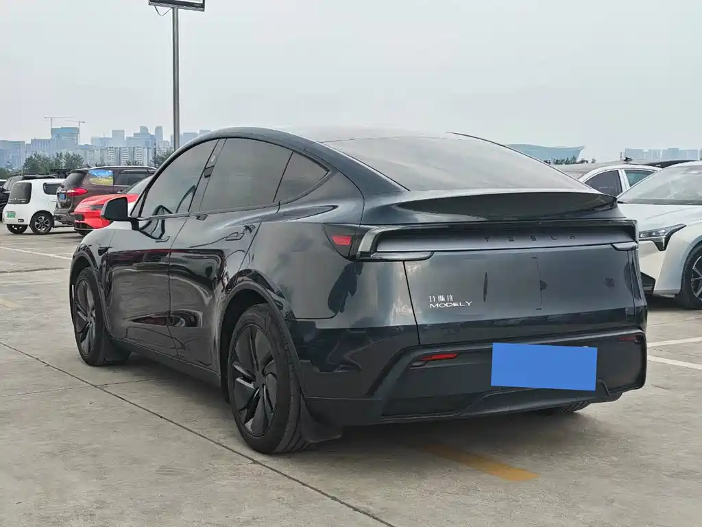 Tesla Model Y — миниатюра 7