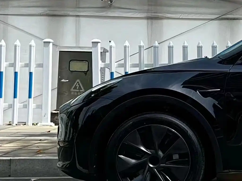 Tesla Model Y — миниатюра 7