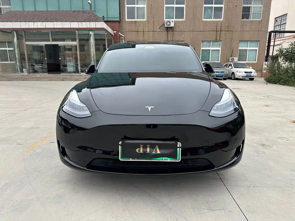 Tesla Model Y — миниатюра 3
