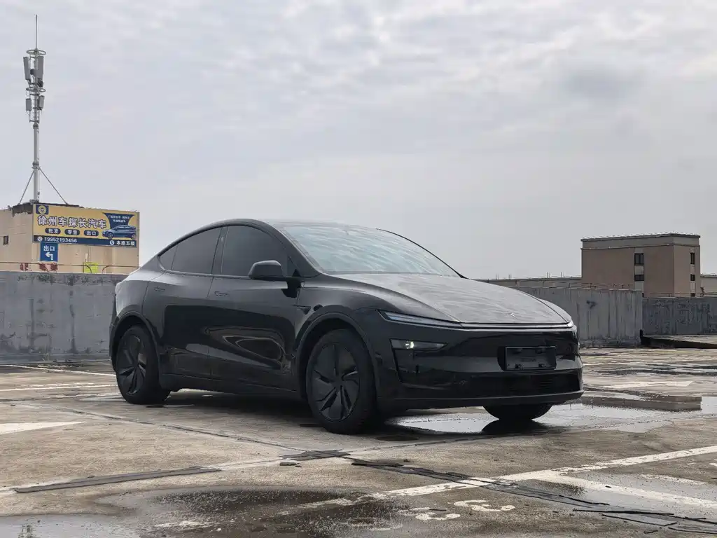 Tesla Model Y — миниатюра 3