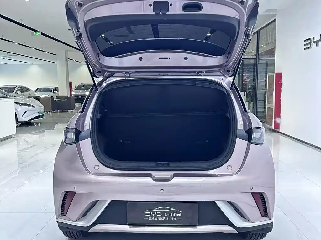 BYD Dolphin — миниатюра 11
