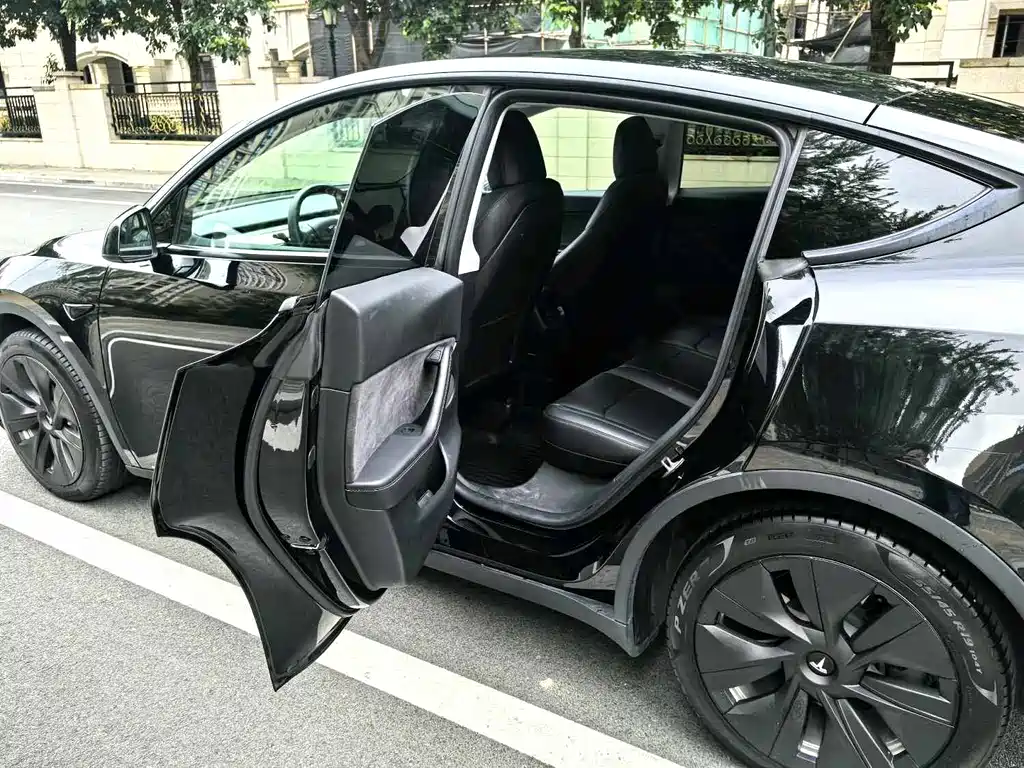 Tesla Model Y — миниатюра 9