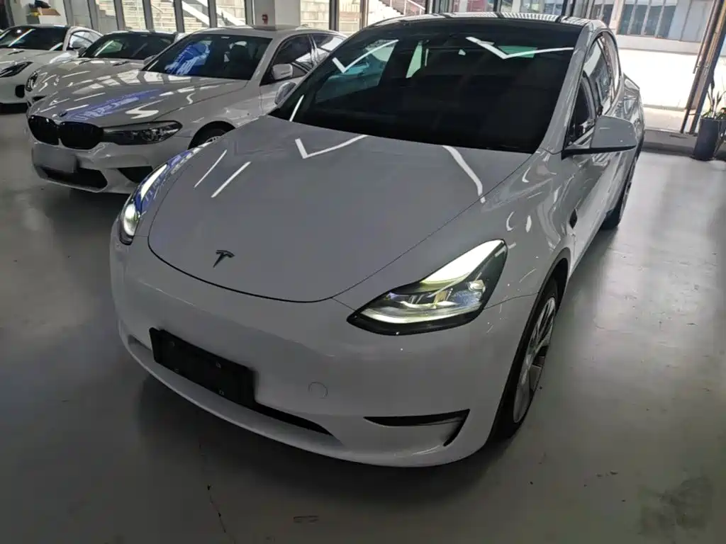 Tesla Model Y — миниатюра 2