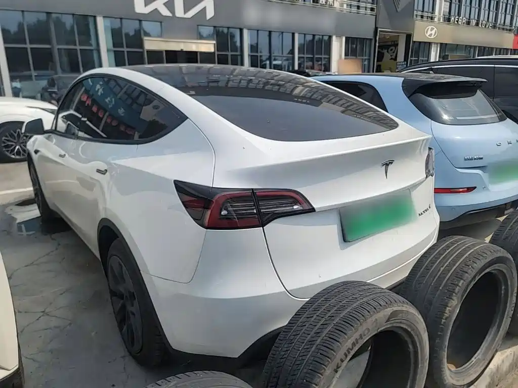 Tesla Model Y — миниатюра 5