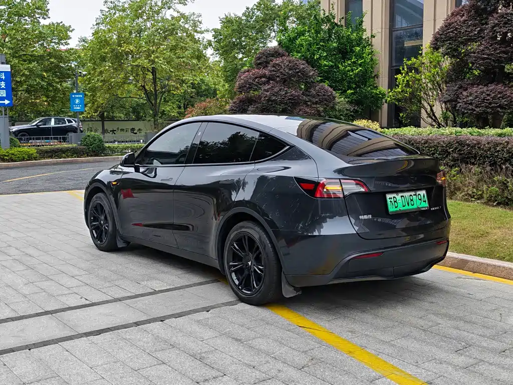 Tesla Model Y — миниатюра 7